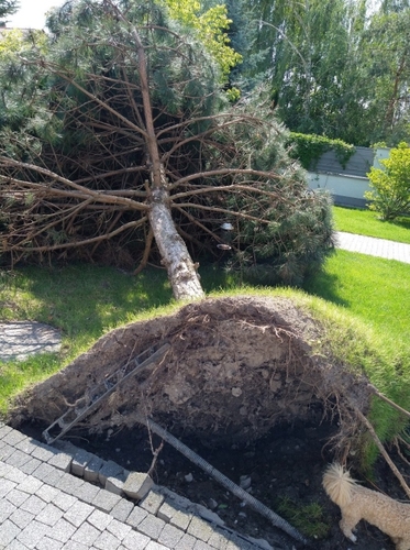 Potencjalne zniszczenia i kosztowne konsekwencje zmian klimatu